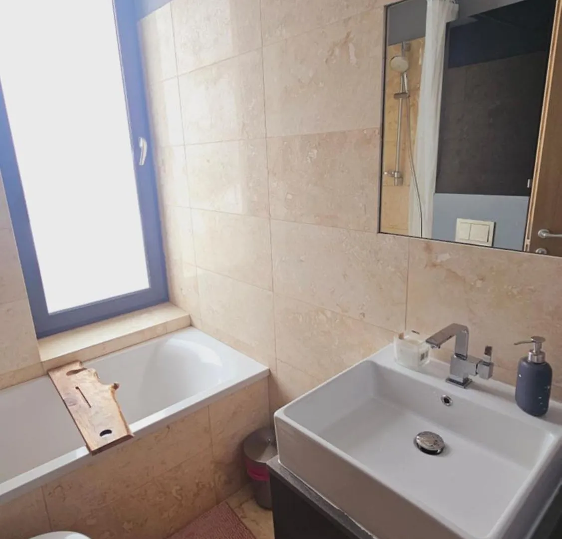 Zen Sunset Loft Apartment Bucharest 0*,